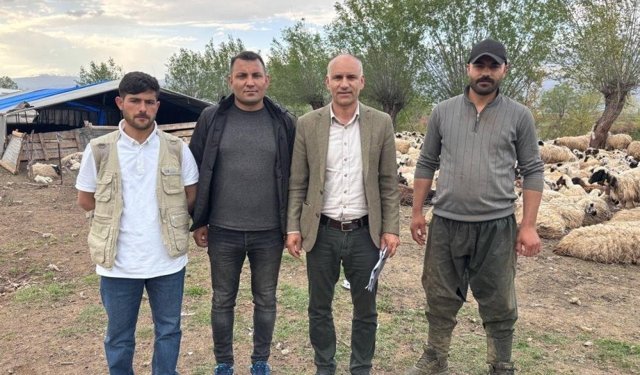 Türkiye’de ilk kez uygulandı: Afgan çobanlar asgari ücretle göreve başladı