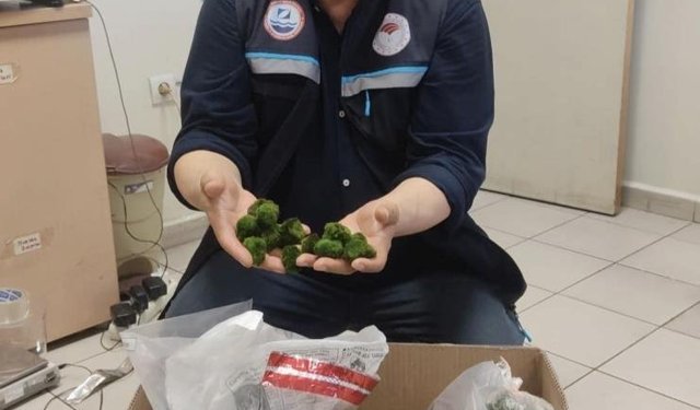 Kapıkule'de yolcu otobüsünde 2 bin adet canlı yeşil alg ele geçirildi