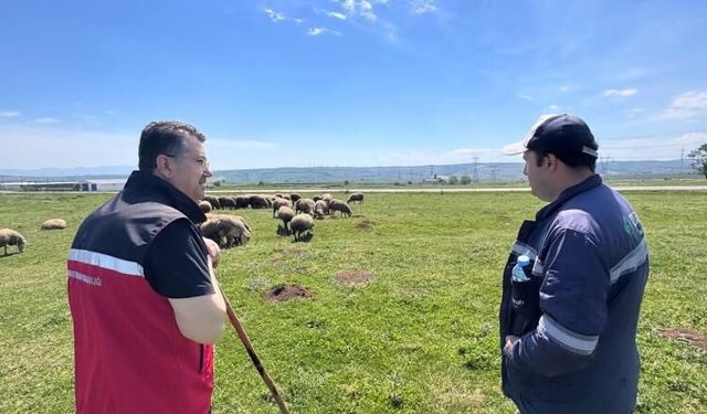 Tatili olmayan tek sektör tarım: İl Müdürü merada üreticiyle buluştu