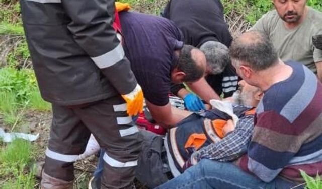Mantar toplarken ayı saldırısına uğradı