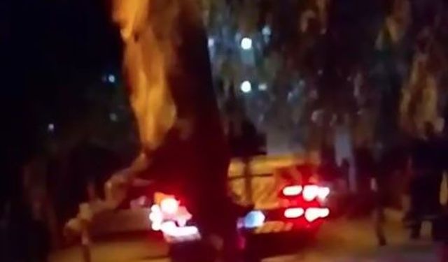 Dereye düşen kurbanlık dana vinçle kurtarıldı