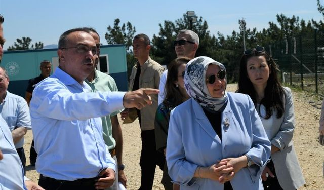 Tekirdağ Valisi Soytürk, Şarköy'deki sahipsiz hayvan doğal yaşam alanını inceledi