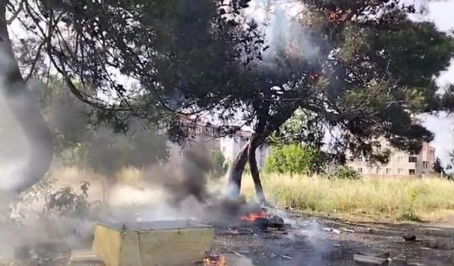 Hurda atık yangını yarım asırlık ağacı küle çevirdi