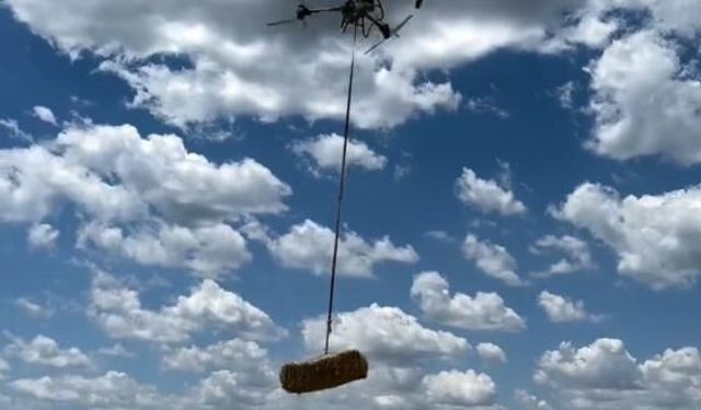 Teknoloji tarlaya indi: Çiftçi dronla saman balyası taşıyor