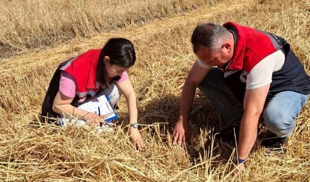Hayrabolu'da biçerdöver denetimleri sürüyor