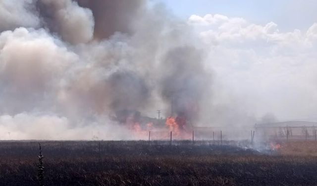 Tekirdağ'da tarım arazisinde iki noktada yangın