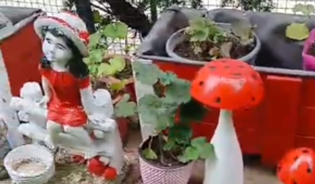 Bahçeler Renkli Süslemelerle Güzelleşiyor
