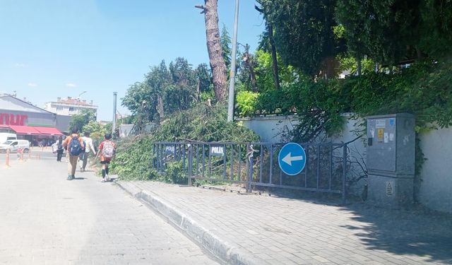 Kırklareli Huzurevinde Bakım Çalışması