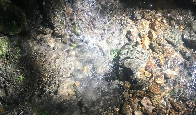 Dere Kenarları Hafta Sonlarının Gözdesi Oldu