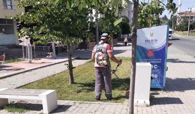 Lüleburgaz'da Temizlik Çalışmaları Aralıksız Sürüyor
