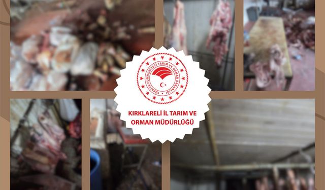 İzinsiz Kesime 350 Bin Lira Ceza