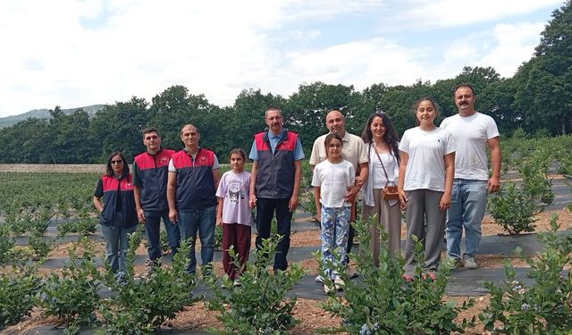 Kaymakam Özderin'den Yaban Mersini İşletmesine Ziyaret