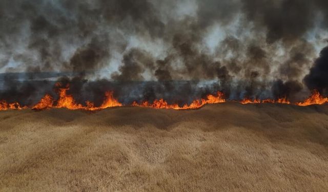 Edirne'de çiftçinin bir yıllık emeği küle döndü