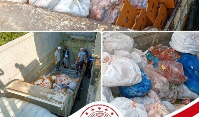 Sakarya'da bir işletmede 5 buçuk ton etiketsiz et ele geçirildi