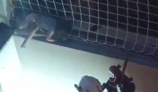 Balkon filesinde asılı kalan çocuğunu düşmesin diye dakikalarca tuttu