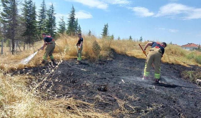 Edirne’de alevlerin arasında kalan kaplumbağa kurtarıldı