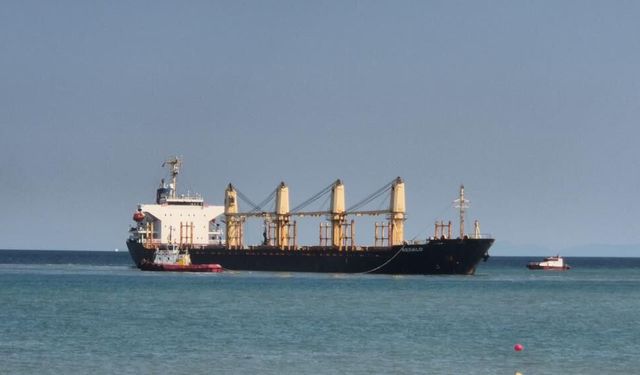 Tekirdağ'da 169 metrelik gemi karaya oturdu