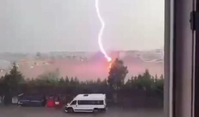 Tekirdağ'da palmiye ağacına yıldırım düştü, alev alev yandı