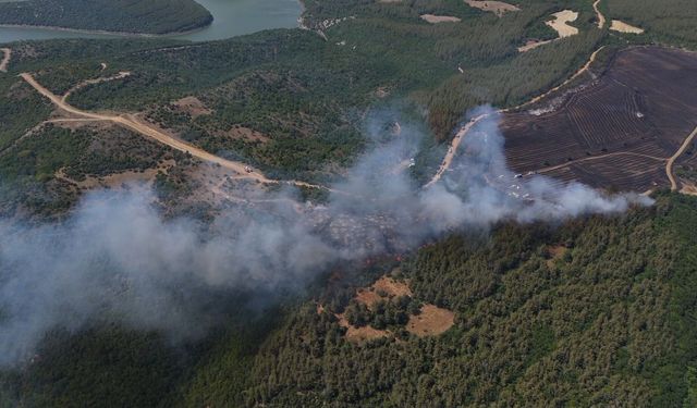 Anızdan ormana sıçrayan yangın dron ile görüntülendi