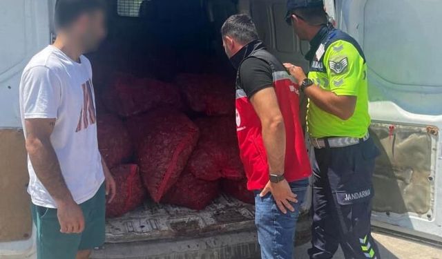 Tekirdağ'da 700 kilogram kaçak midye ele geçirildi