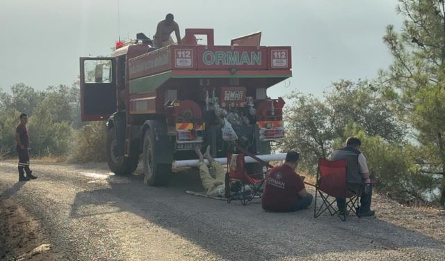 Yeşil vatan için ateşe yürüdüler, sabahı küle bulanmış yüzlerle karşıladılar