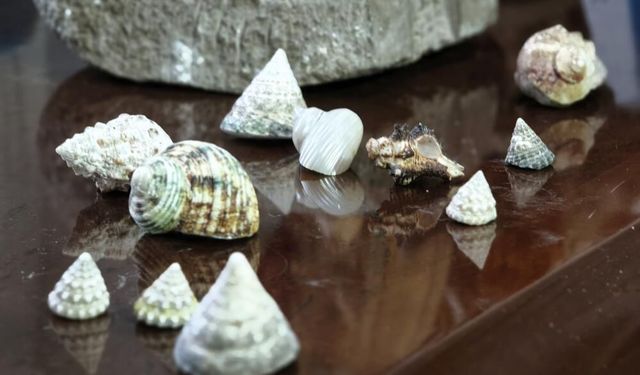 Kentsel dönüşüm sırasında bulduğu tarihi eserleri müzeye bağışlayacak