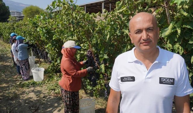 Manisa’dan dünyaya üzüm ihracatı başladı