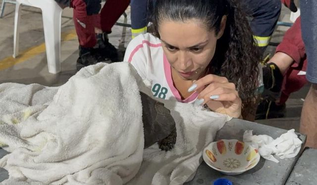 Alevlerin arasından kurtarılan kaplumbağa için zamanla yarışıldı