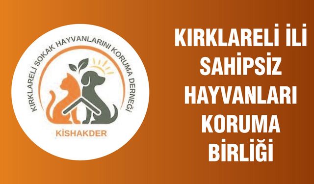 YETİŞKİN KÖPEK KURU MAMA ALIMI (15 KG PAKETLER HALİNDE)