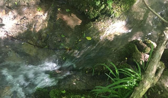 Kırklareli'nin Doğal Güzellikleri Hayran Bırakıyor