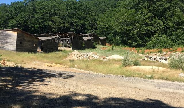 Kırsaldaki Çiftlikler Ekonomiye Katkı Sunuyor