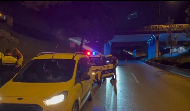 Kardeş kavgası babayı yola, polisi sokağa döktü