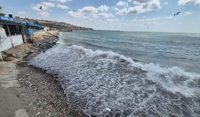 Marmara'da deniz ulaşımına poyraz engeli