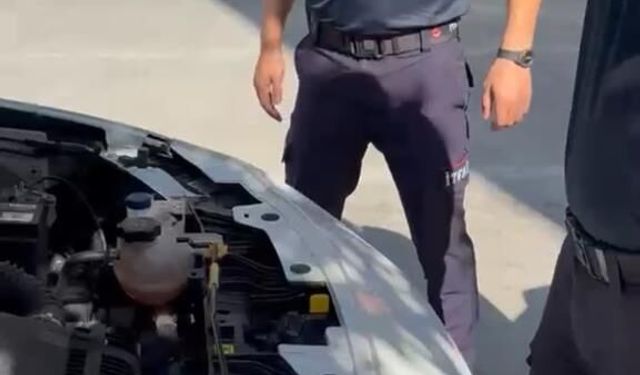 Burdur'da hayat kurtaran not: Aracın motor kısmına giren yavru kedi kurtarıldı