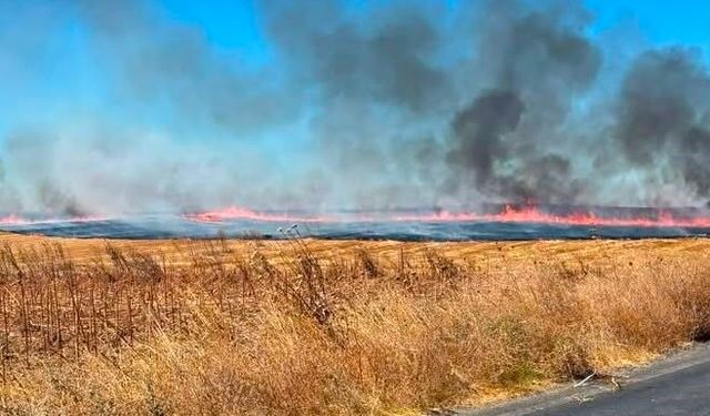 Anız yangınında yaklaşık 25 dönüm arazi küle döndü
