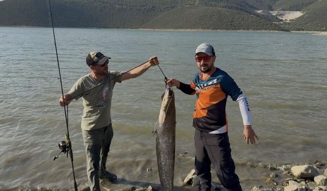 Turna avına çıkan balıkçıların oltasına 127 santimlik dev yayın takıldı