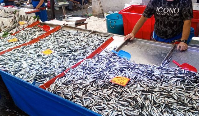 Balık Tezgahlarında Hareketlilik Başladı