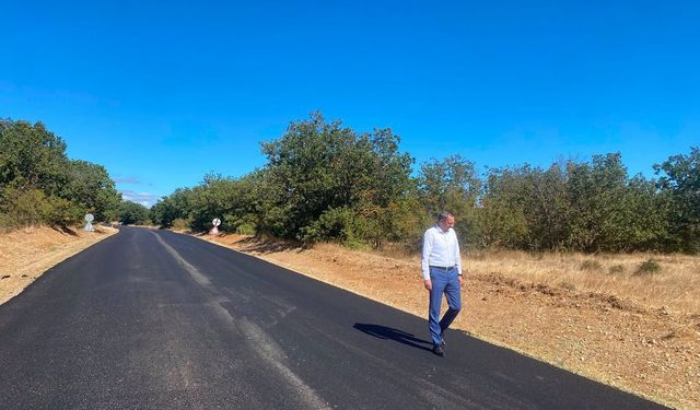 Kaymakam Özderin, Cevizköy-Doğanca Yolunu İnceledi