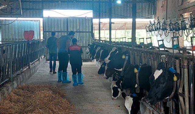 Pınarhisar’da Hayvancılık İşletmelerine Düzenli Denetim