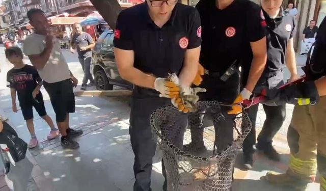 Kaputtan miyav sesi geldi, itfaiye ekipleri harekete geçti