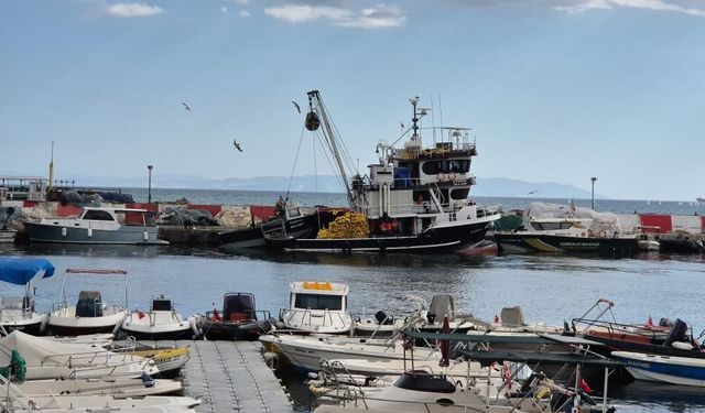 Marmara Denizi ulaşımına Poyraz engeli