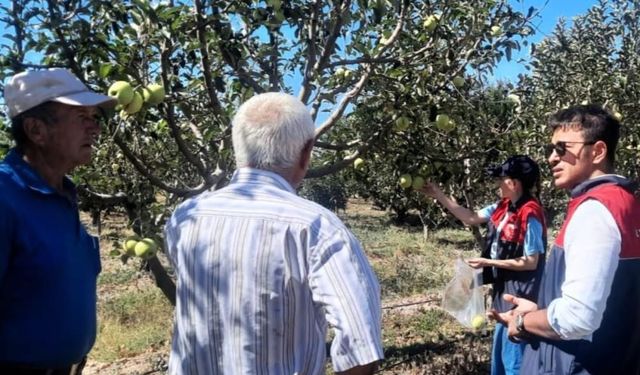 Kırklareli’nde pestisit denetimleri sürüyor