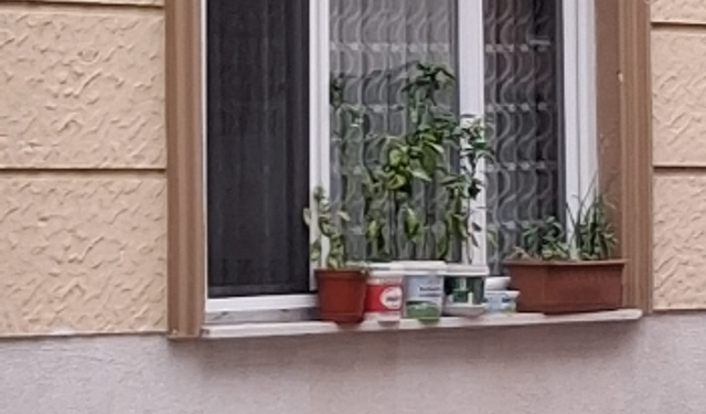 Kırklareli’nde Pencere Önleri Bitkilerle Renkleniyor