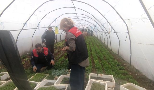 Lüleburgaz’da Örtü Altı Üretim Alanları Kontrol Ediliyor