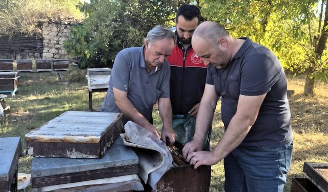 Pınarhisar’da Arılı Kovanlara Yönelik Kontroller Sürüyor