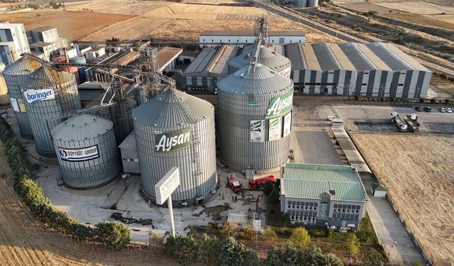 Edirne'de sıvı yağ fabrikasının ayçiçeği çekirdeği silosunda yangın çıktı