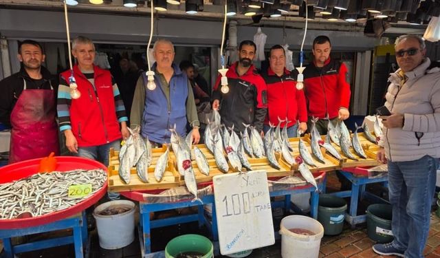 Bandırma’da palamut bereketi, vatandaş kasa kasa balık alıyor