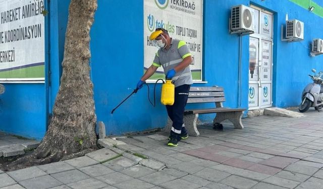 Tekirdağ'daki otogarlarda haşere ve kemirgenlere karşı önlem