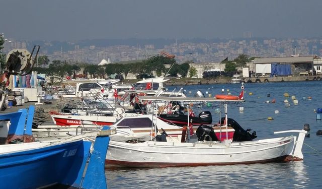 Karadeniz'de palamut alarmı: "Önüne ne gelirse yiyor, bir an önce hepsinin tutulması gerekiyor"