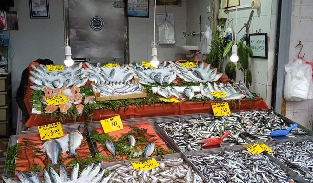 Kırklareli'de Balık Fiyatları 
